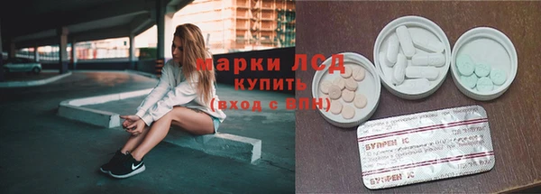 гидропоника Алзамай