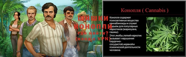 гидропоника Алзамай