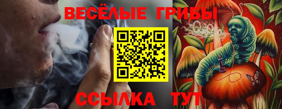Псилоцибиновые грибы MAGIC MUSHROOMS  Вход с VPN  Находка 
